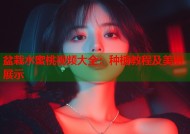 盆栽水蜜桃视频大全：种植教程及美丽展示