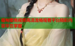 缅甸蜜桃视频高清流畅观看平台精彩内容尽在掌握